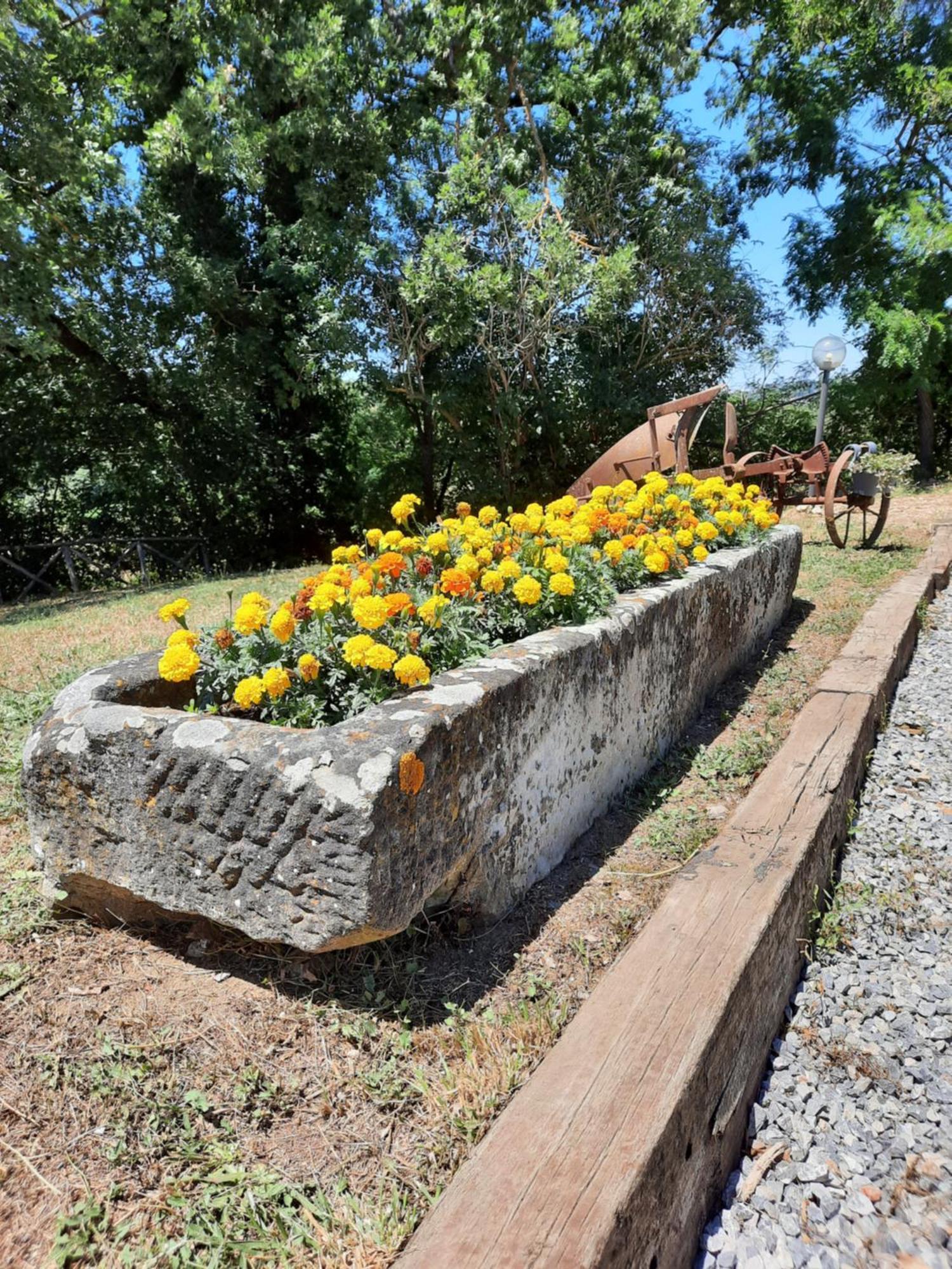 Agriturismo Podere Valdilucciole Città della Pieve Екстериор снимка